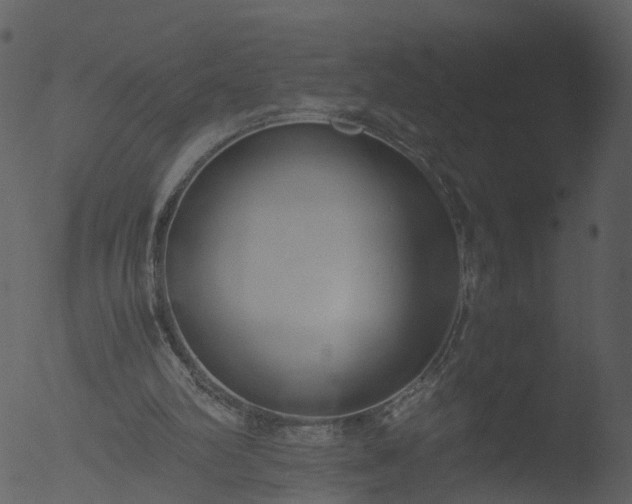 X0000053070102200507181637