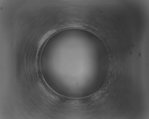 X0000053070104200507181637