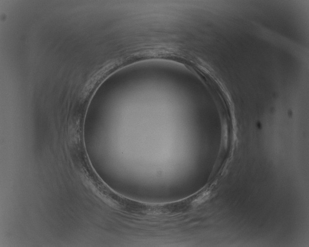 X0000053070105200507181636