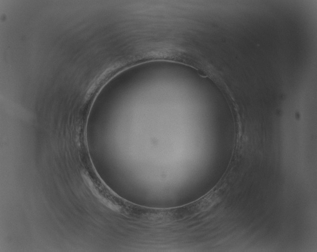 X0000053070106200507181636