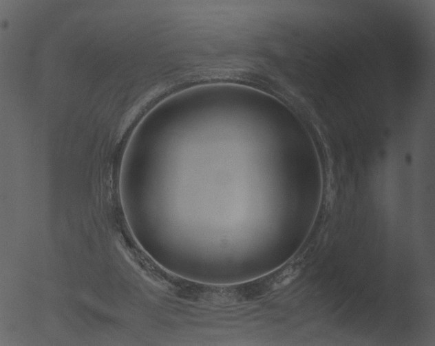 X0000053070107200507181636