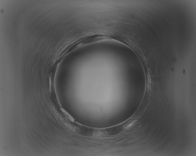 X0000053070109200507181636