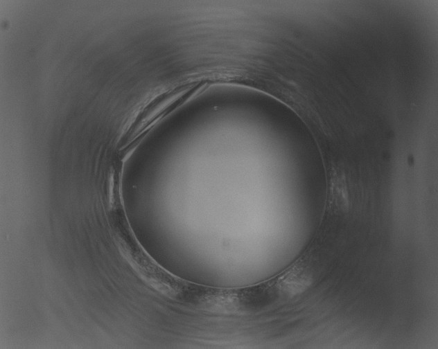 X0000053070110200507181636