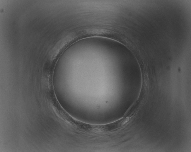 X0000053070111200507181636