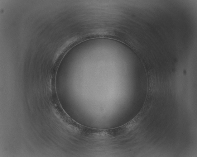 X0000053070112200507181636