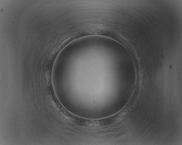 X0000053070113200507181636