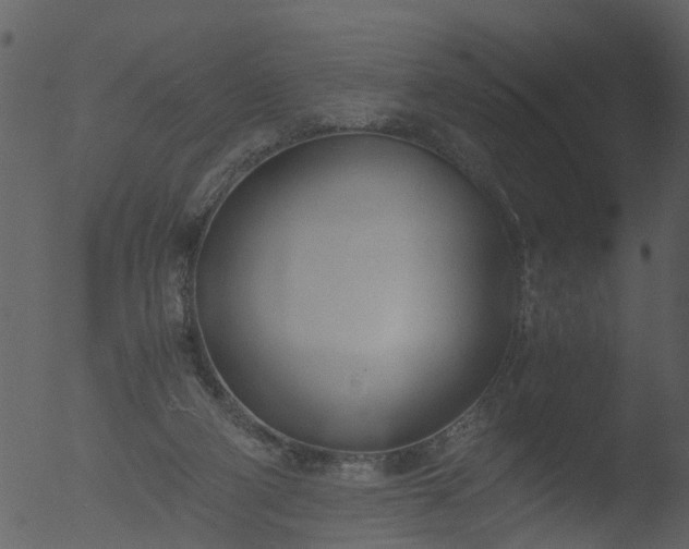 X0000053070114200507181636