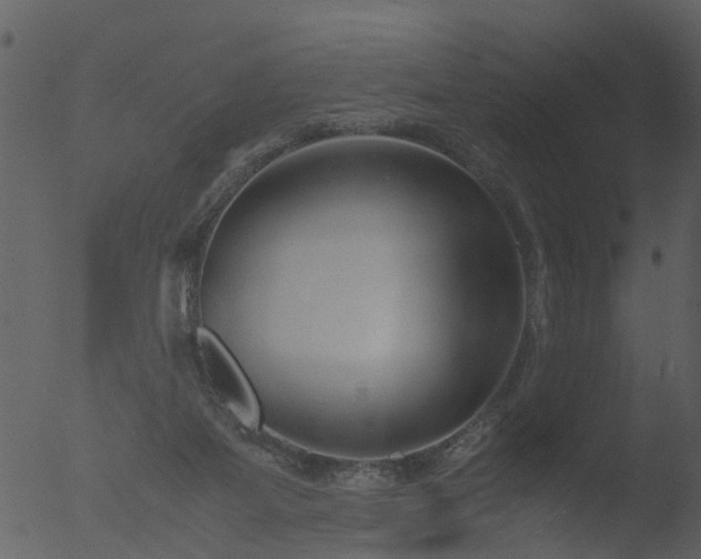 X0000053070115200507181636