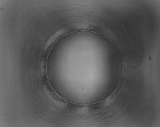 X0000053070116200507181636