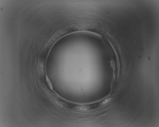 X0000053070117200507181636