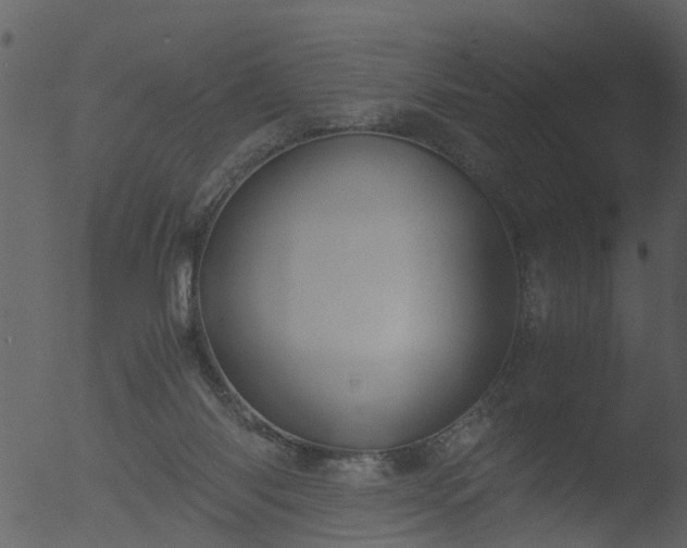 X0000053070118200507181636