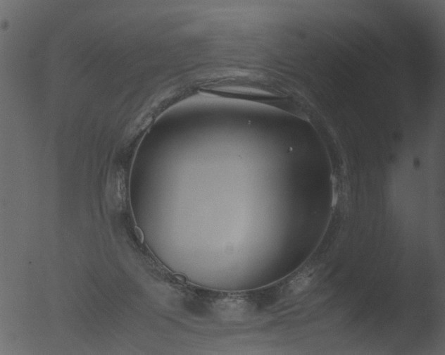 X0000053070119200507181636