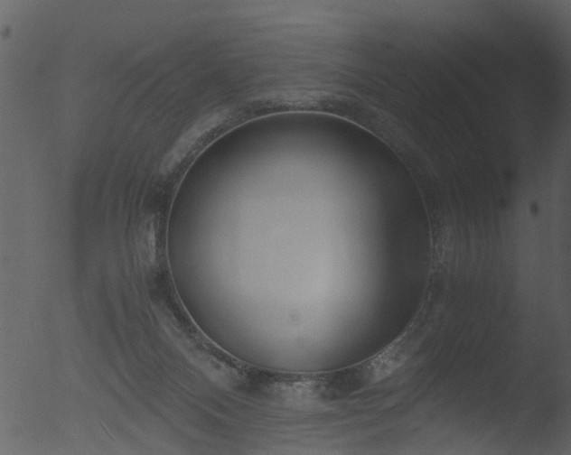 X0000053070120200507181636