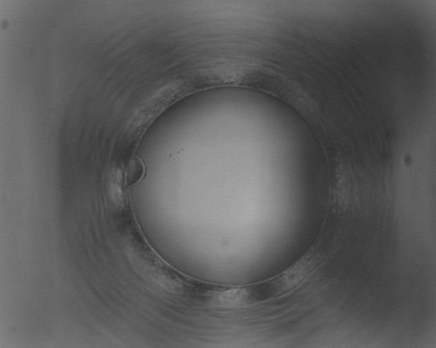 X0000053070122200507181636