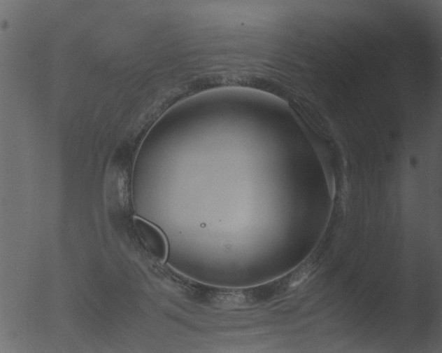 X0000053070123200507181636