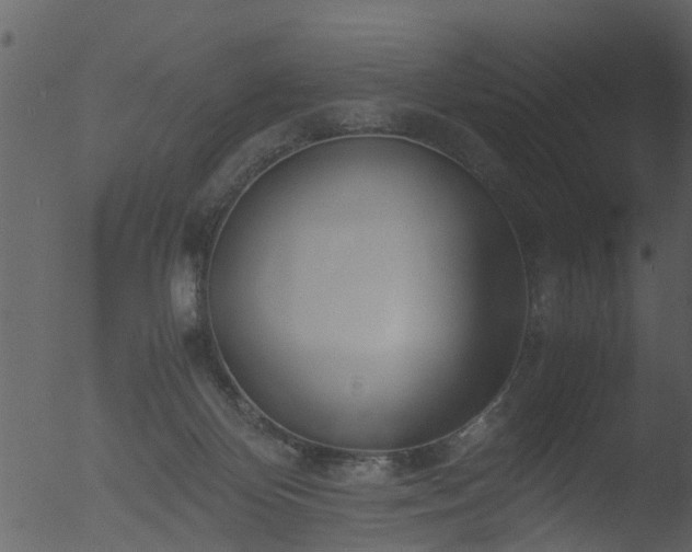 X0000053070124200507181636