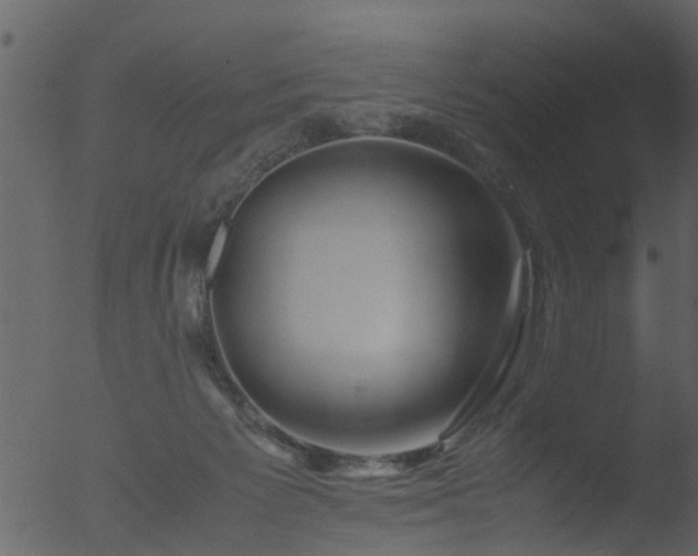 X0000053070125200507181636