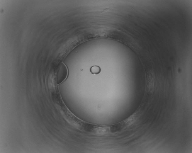 X0000053070126200507181636