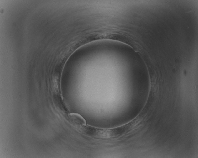 X0000053070127200507181636