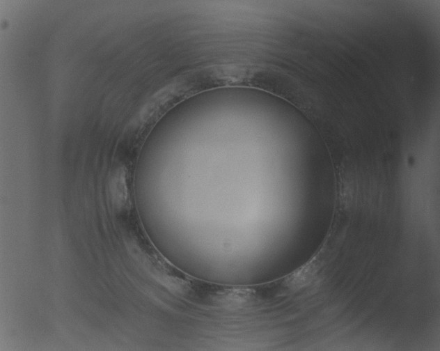 X0000053070128200507181636