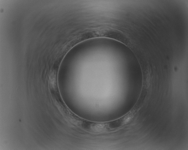 X0000053070129200507181636