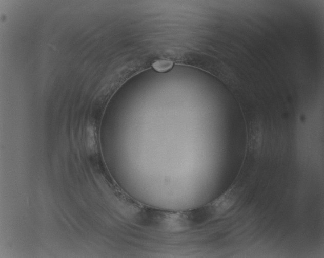 X0000053070130200507181636