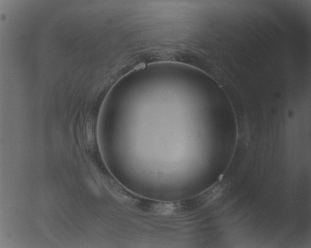 X0000053070131200507181636