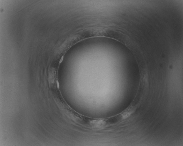 X0000053070133200507181636