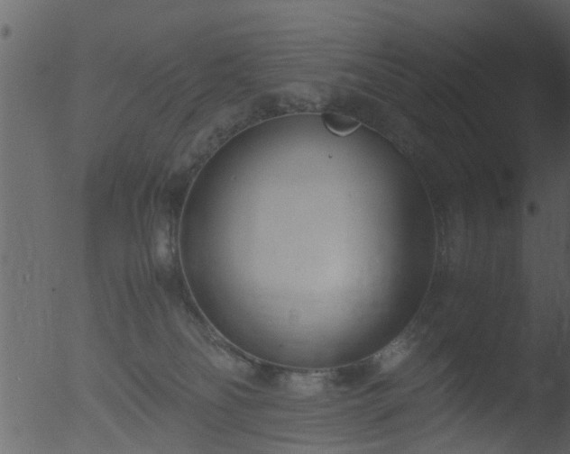 X0000053070134200507181636