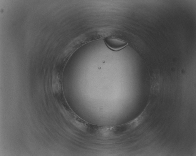 X0000053070136200507181636