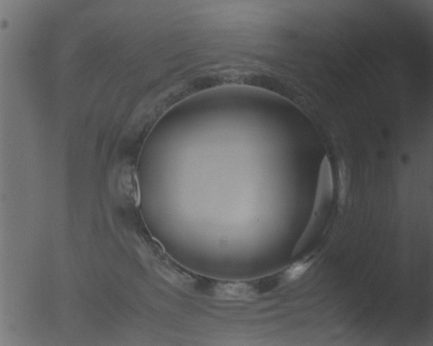 X0000053070137200507181636