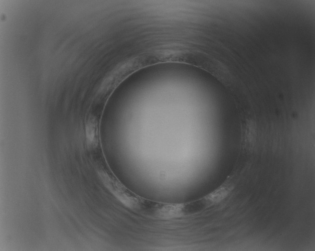 X0000053070138200507181636