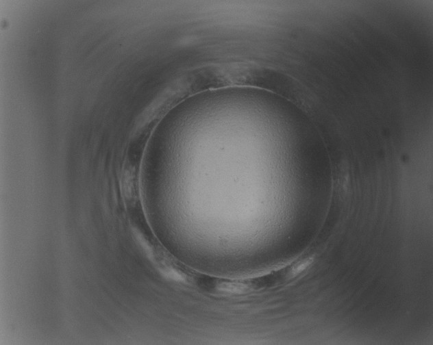 X0000053070139200507181636