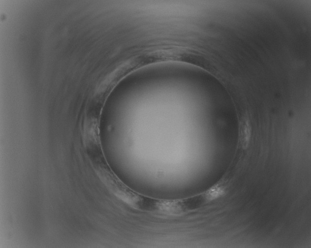 X0000053070141200507181636