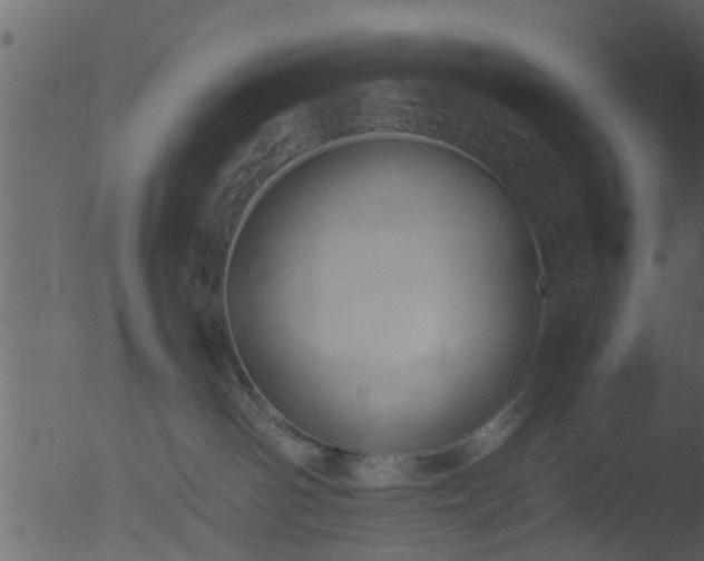 X0000053070142200507181636