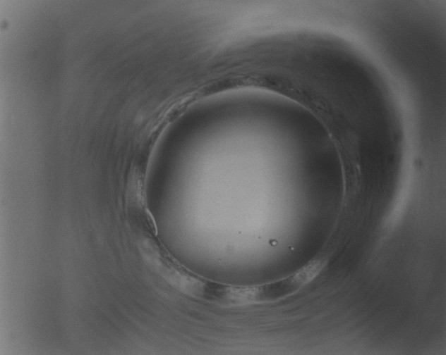 X0000053070143200507181636