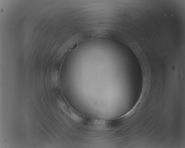 X0000053070144200507181636