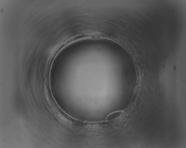 X0000053070145200507181635