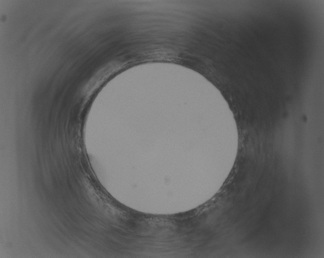 X0000053070146200507181635