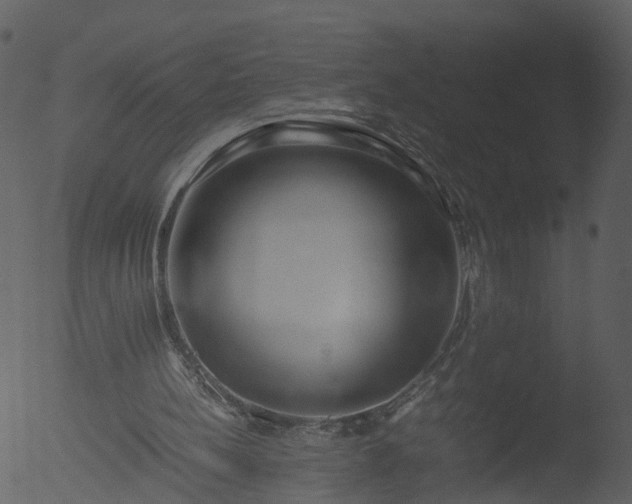 X0000053070148200507181635