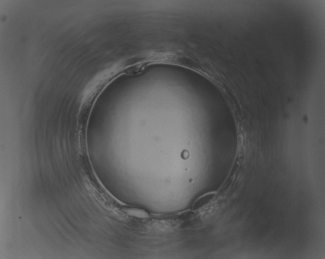 X0000053070149200507181635