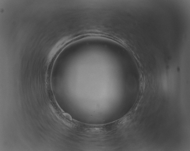 X0000053070151200507181635