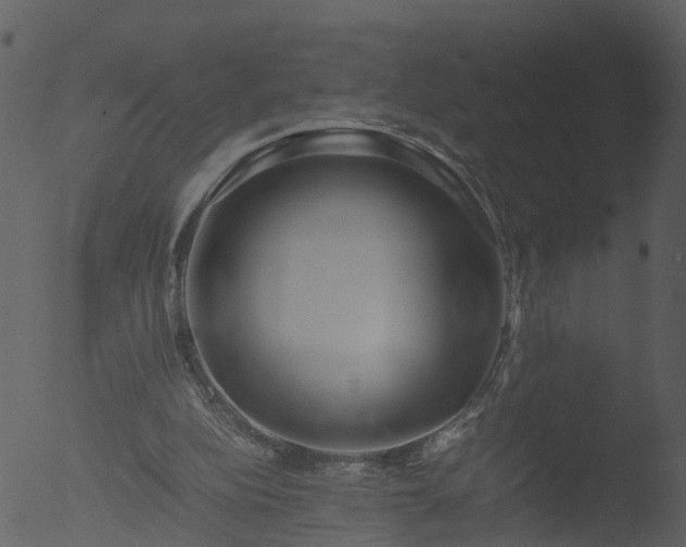 X0000053070152200507181635