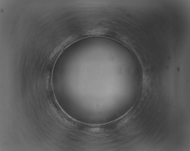 X0000053070153200507181635