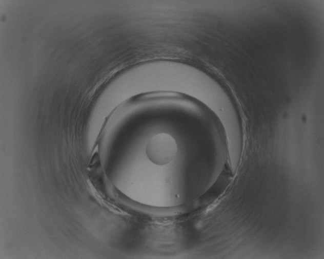 X0000053070154200507181635