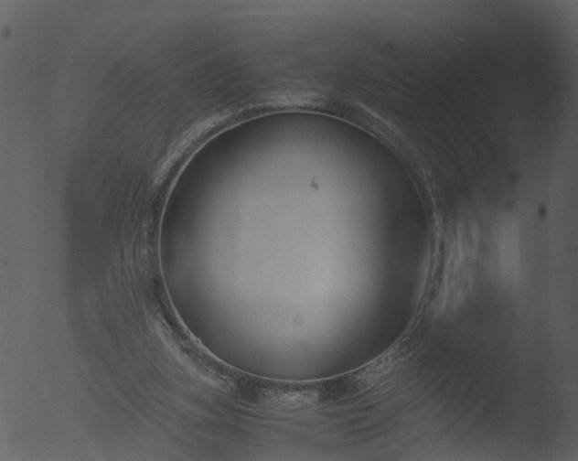 X0000053070155200507181635