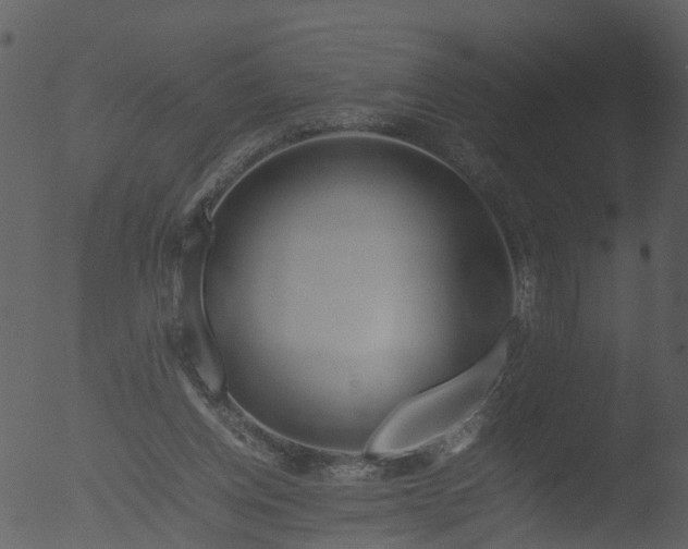 X0000053070158200507181635