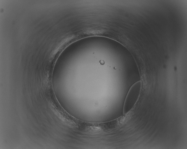 X0000053070159200507181635