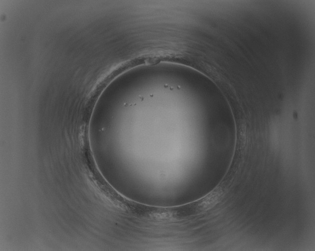 X0000053070160200507181635