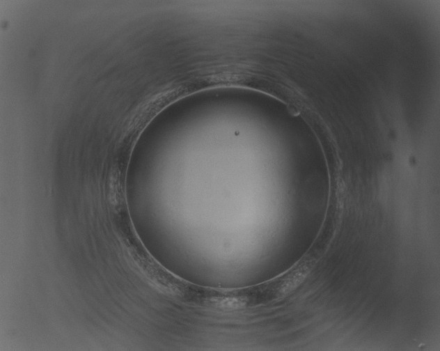 X0000053070161200507181635